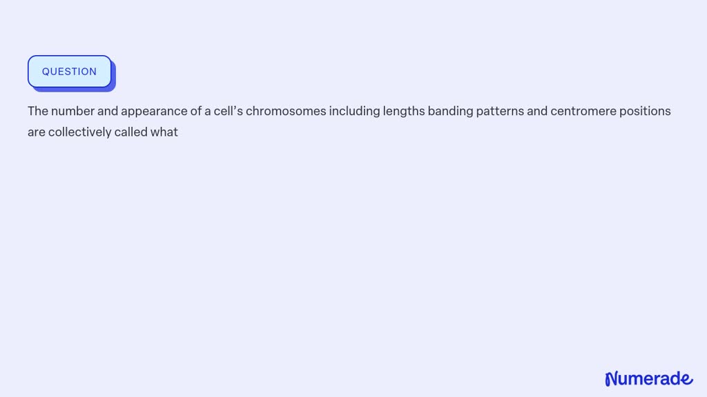 VIDEO solution: The number and appearance of a cell’s chromosomes ...