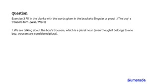 Nouns Recognise Singular and Plural Nouns Worksheet  EdPlace