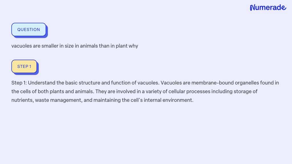 Solved: Vacuoles Are Smaller In Size In Animals Than In Plant Why