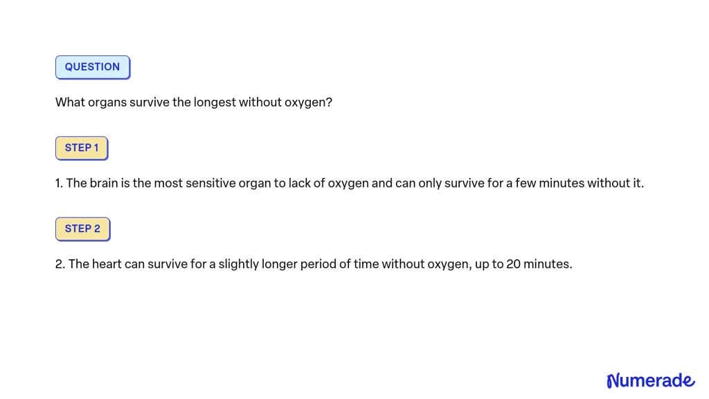 SOLVED: What organs survive the longest without oxygen?