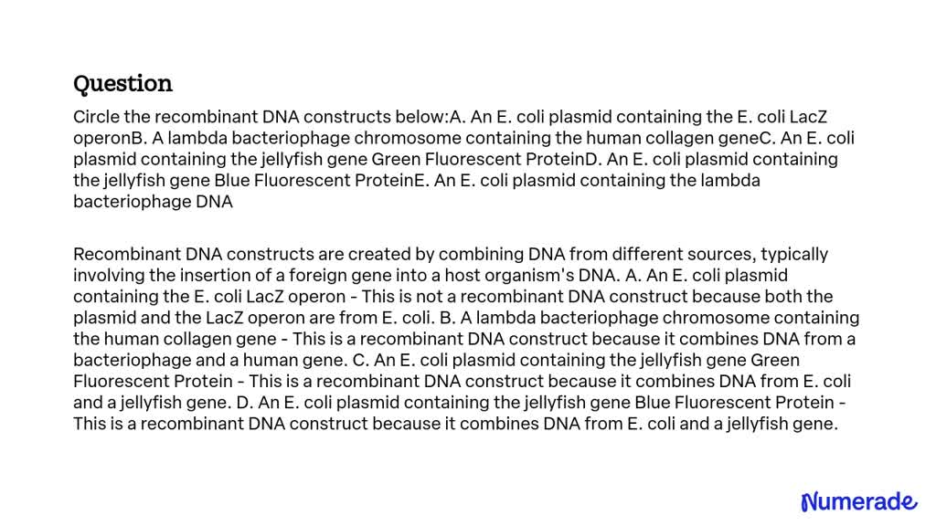 SOLVED: Circle The Recombinant DNA Constructs Below:A. An E. Coli ...