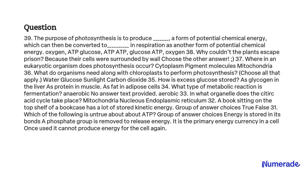 where-is-excess-glucose-stored-quanswer