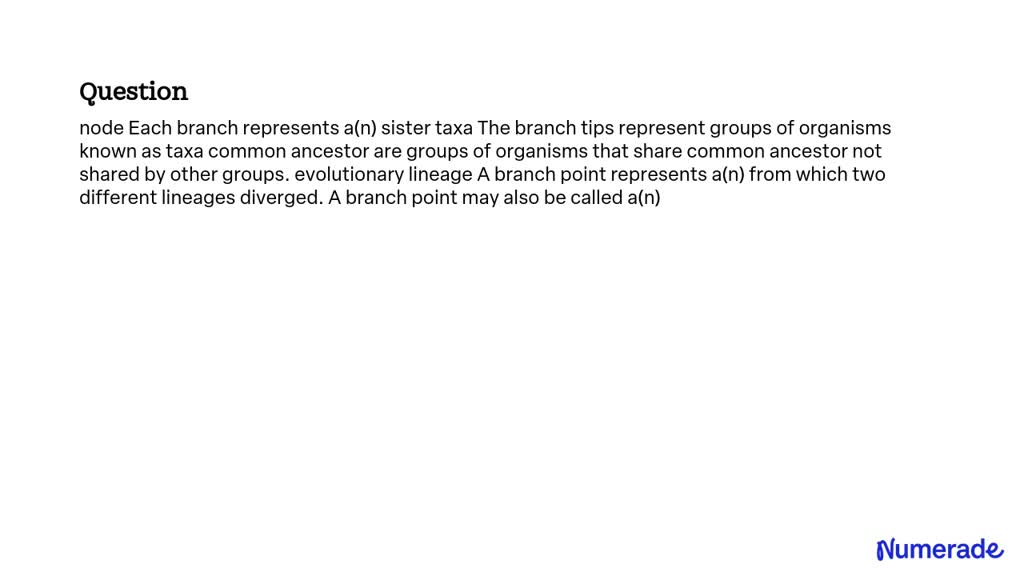 SOLVED: node Each branch represents a(n) sister taxa The branch tips ...