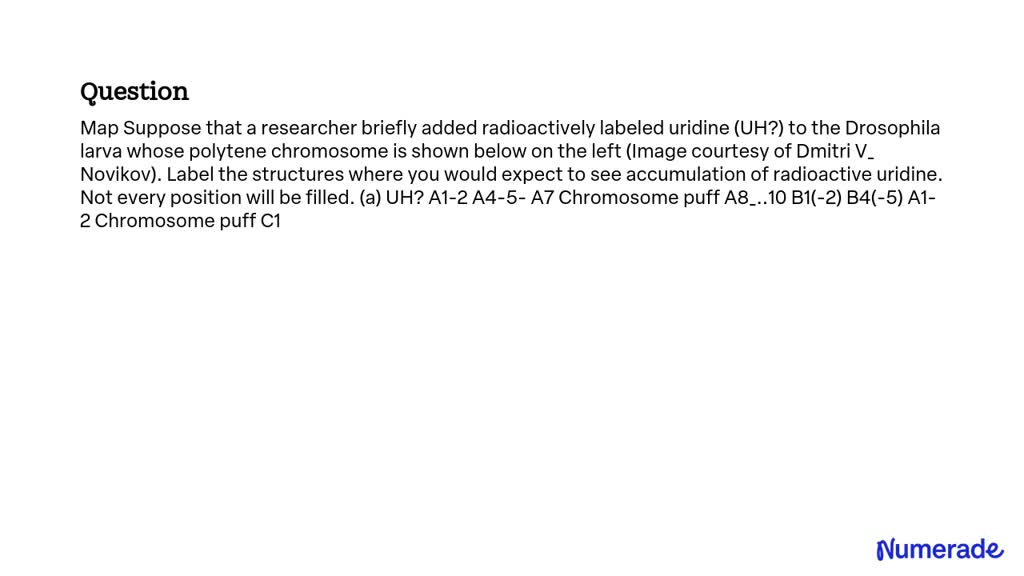 SOLVED: Map Suppose that a researcher briefly added radioactively ...