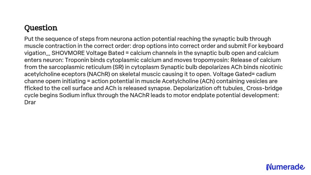 SOLVED: Put the sequence of steps from neuronal action potential ...