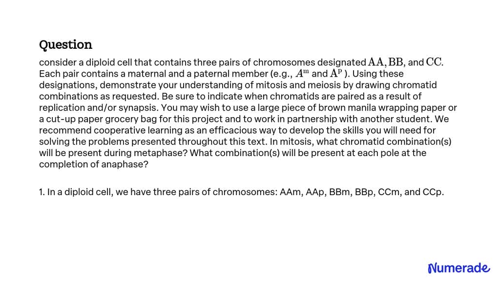 SOLVED:consider a diploid cell that contains three pairs of chromosomes ...