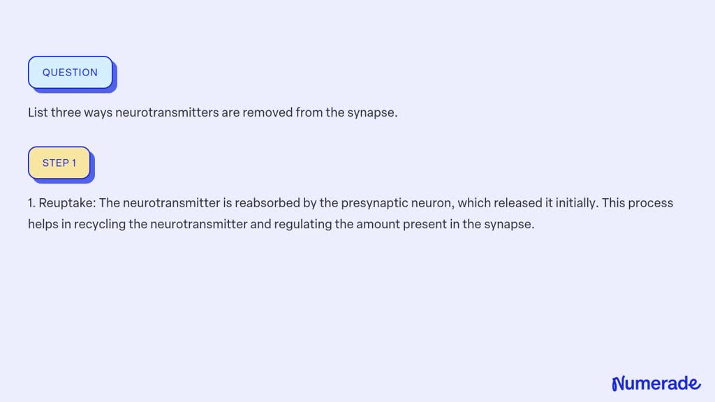 SOLVED:List three ways neurotransmitters are removed from the synapse.