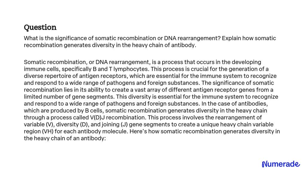 Solved: What Is The Significance Of Somatic Recombination Or Dna 