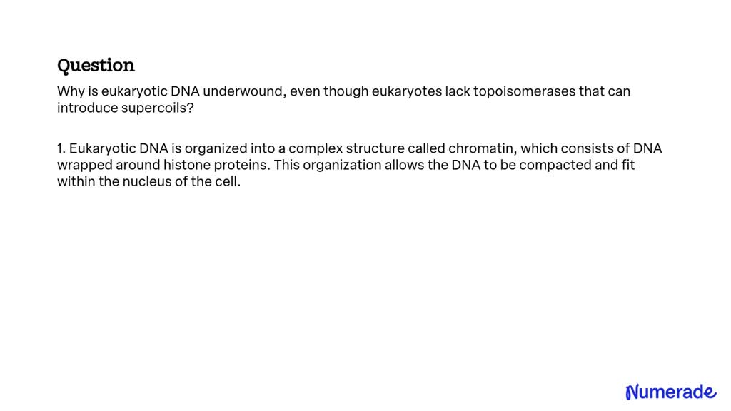 SOLVED: Why is eukaryotic DNA underwound, even though eukaryotes lack ...