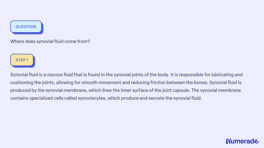 ⏩SOLVED:Where does synovial fluid come from? | Numerade