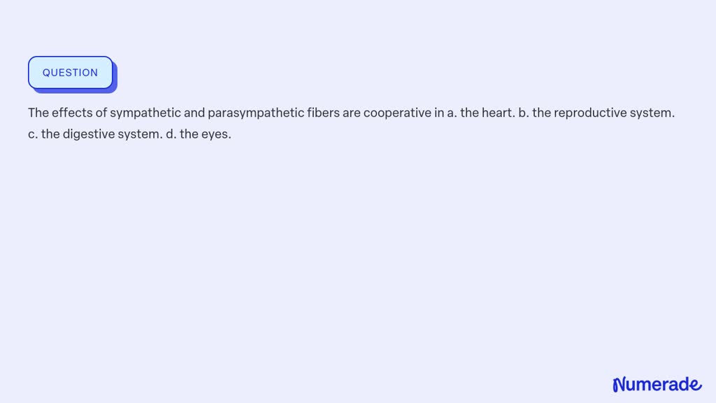 SOLVED:The effects of sympathetic and parasympathetic fibers are ...
