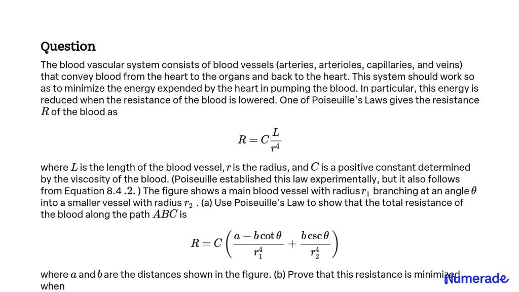 solved-the-blood-vascular-system-consists-of-blood-vessels-arteries