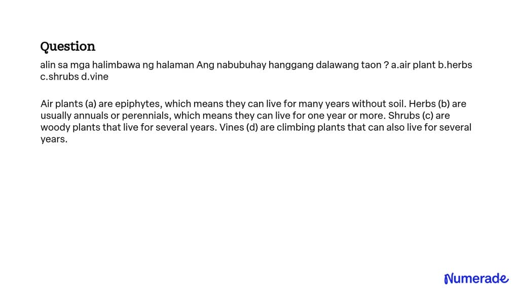 SOLVED: Alin Sa Mga Halimbawa Ng Halaman Ang Nabubuhay Hanggang ...