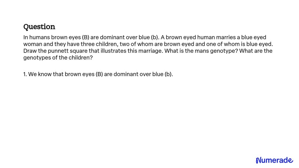 SOLVED: In humans, brown eyes (B) are dominant over blue (b). A brown ...