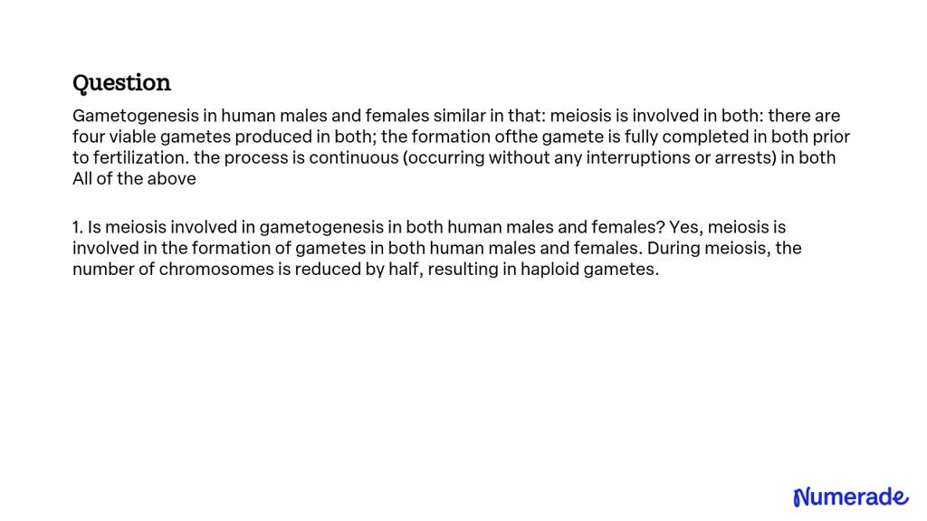 solved-gametogenesis-in-human-males-and-females-similar-in-that