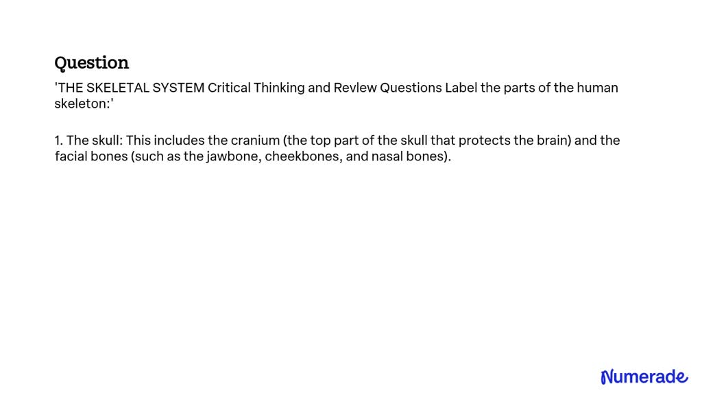 critical thinking questions about the skeletal system