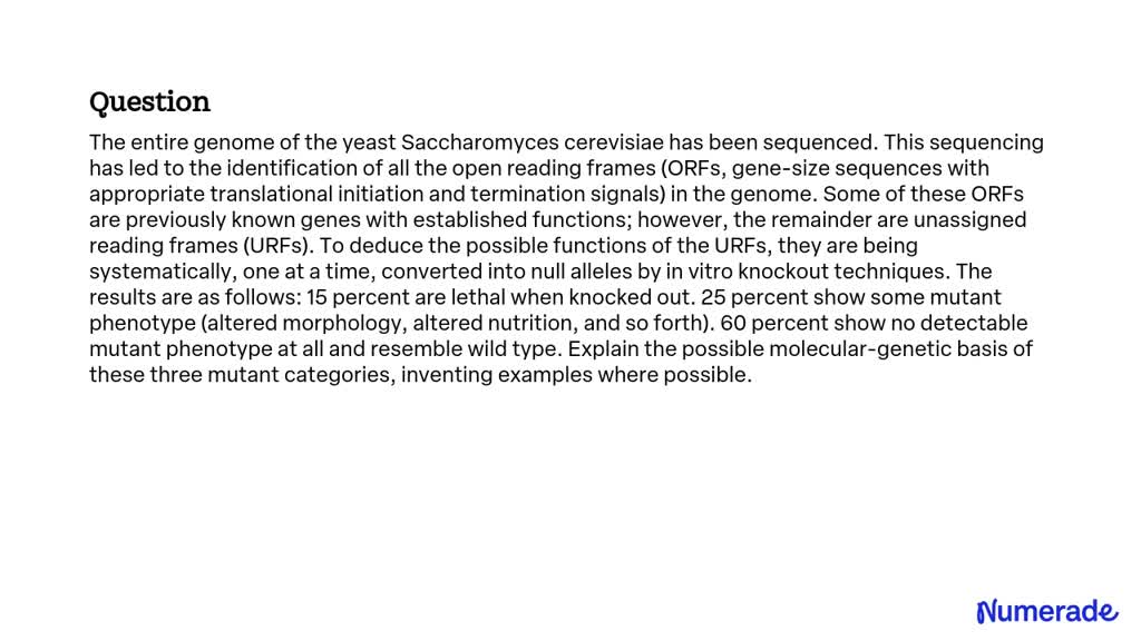 Solvedthe Entire Genome Of The Yeast Saccharomyces Cerevisiae Has Been Sequenced This 6894