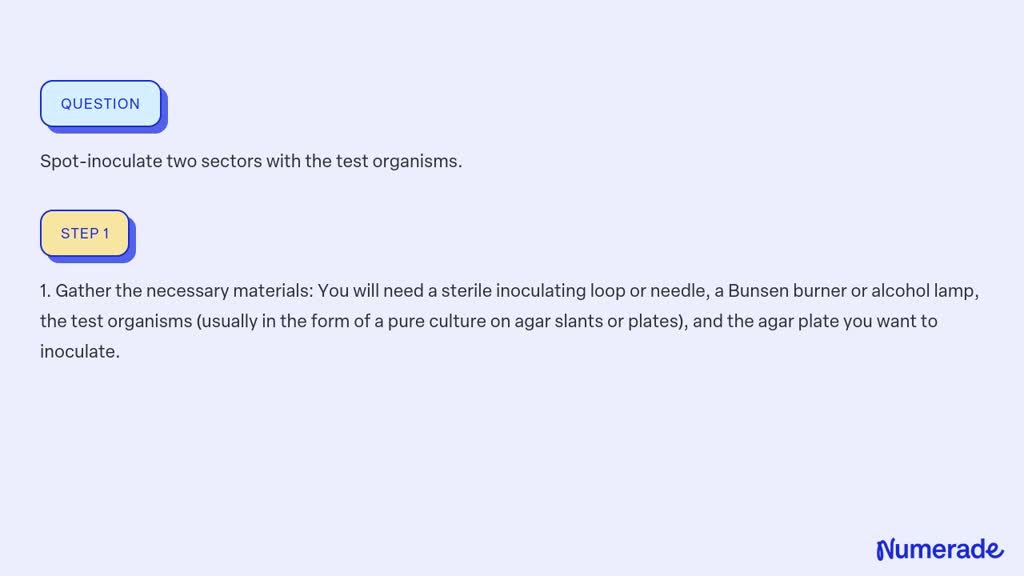 ⏩SOLVED:Spot-inoculate two sectors with the test organisms. | Numerade