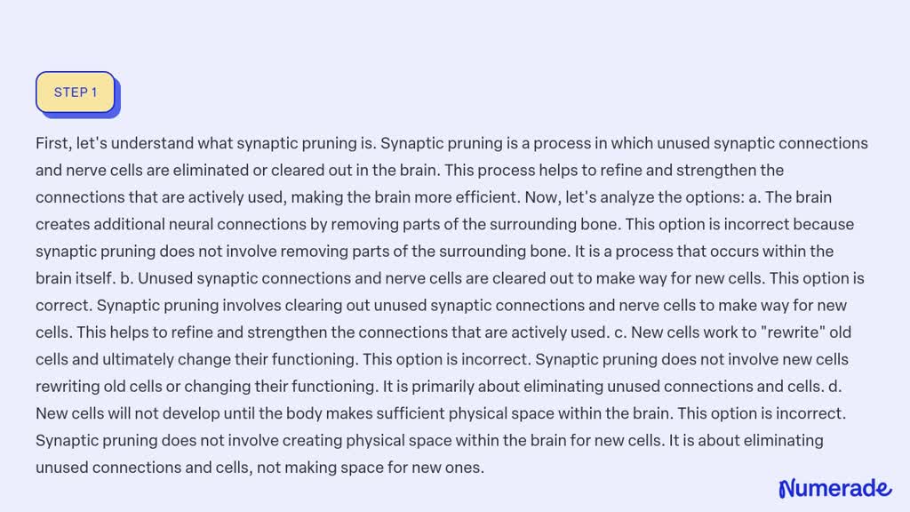 SOLVED Pick the best answer. Studies of the infant brain show