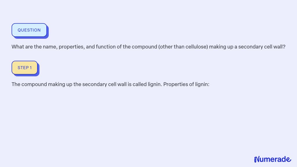 SOLVED:What are the name, properties, and function of the compound ...